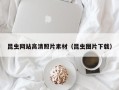 伊川昆虫网站高清照片素材（昆虫图片下载）